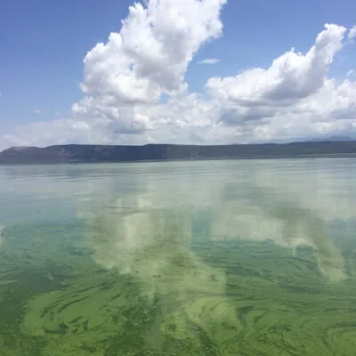Lake Chamo, Ethiopia